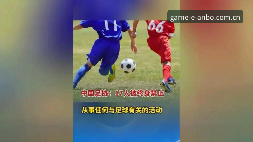 中国足协第三批禁足名单全面解析：17人终身禁止从事足球活动，48人被禁五年以下